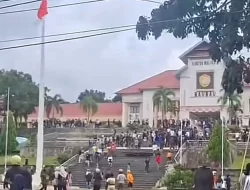 Protes Penertiban Joget, Demo Pengusaha Sound System di Kota Baubau Berakhir Ricuh