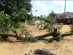 Protes Jalan Rusak, Warga Blokade Poros Lambuya-Motaha