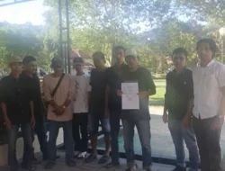 Peternak Sapi Resah Akibat Penambangan Batu Cinnabar Ilegal di Desa Wambaremba Bombana