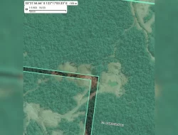 PT Tristaco Disebut Menambang di Lahan Koridor, Celah Antara WIUP PT ARI dan PT BKU