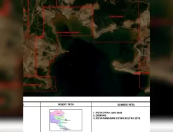 P3D Konut Tanggapi Pernyataan Direktur: Ungkap Aktor Lain Dugaan Penambang Ilegal PT TMM