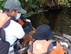 Warga Marobo Muna yang Hilang di Sungai Poaroha Ditemukan Meninggal Dunia