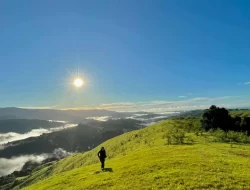 Prakiraan Cuaca Wilayah Sultra, Sabtu 16 Agustus 2025: Berpotensi Hujan