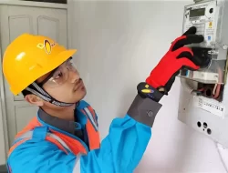 Tarif Listrik Terbaru untuk 13 Golongan Pelanggan PLN, Berlaku Agustus 2025