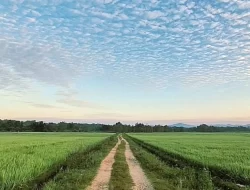 DPRD Konawe Pastikan Petani Ameroro dan Humboto Bisa Kembali Bertani