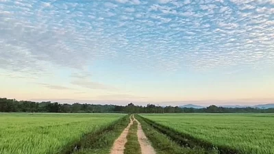 DPRD Konawe Pastikan Petani Ameroro dan Humboto Bisa Kembali Bertani