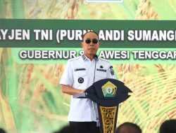 6.745 Hektar Sawah Baru Bakal Dibuka di Sultra, Terluas di Kolaka Timur