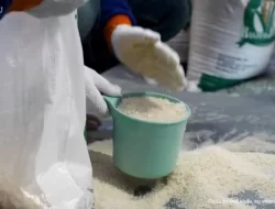 Harga Beras 25 Kilogram di Wakatobi Tembus Rp470 Ribu