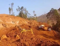 Terungkap PT Tristaco Mineral Makmur Belum Menempatkan Jaminan Pascatambang