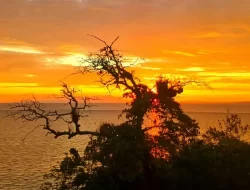 Prakiraan Cuaca Sulawesi Tenggara 28 Agustus 2025, Dominan Cerah Berawan