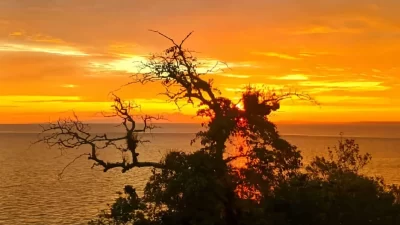 Prakiraan Cuaca 8 Agustus 2025: Siang dan Sore Hujan di Sebagian Wilayah Sultra