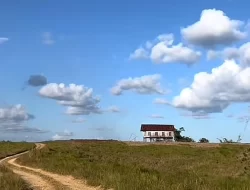 Prakiraan Cuaca Sultra 24 Oktober 2025, Pagi Umumnya Cerah Berawan