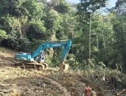 Pemkab Konsel Tanggapi Dugaan Jual Beli Lahan Hutan Lindung di Desa Amasara