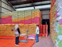 Stok Beras di Sulawesi Tenggara Cukup untuk 30 Bulan