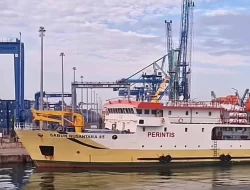 Jadwal KM Sabuk Nusantara 82 Periode 19-28 Agustus 2025