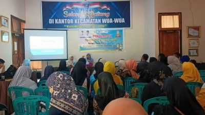 Kader Jumantik Upaya Pemkot Kendari Tekan Angka Kesakitan Dengue