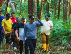Hutan Kota Andoolo Disiapkan Jadi Magnet Wisata dan Edukasi Lingkungan