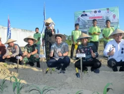LPKA Kendari Kembangkan Lahan Pertanian SAE, Tanam Jagung hingga Sayuran