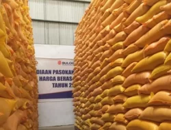 Stok Beras Bulog Menguning, DPR Sebut Kebijakan Kementan-Bapanas Lambat dan Berbelit