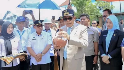 Sulawesi Tenggara Ekspor 11.732 Ton Cumi-cumi ke Vietnam