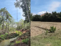 Aktivitas Galian PT WIN Meluas hingga ke Samping Sawah, Warga Mondoe Resah