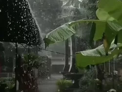 Prakiraan Cuaca Senin 10 November 2025, Sejumlah Wilayah di Sultra Diguyur Hujan