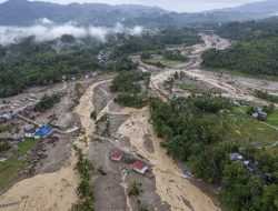 Komisi IV Minta Aparat Tindak Tegas 12 Perusahaan Terlibat Banjir Bandang di Sumatera