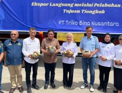 Warna Baru Ekonomi Kepulauan Buton: Ubur-ubur Mulai Diekspor ke Negeri Tirai Bambu