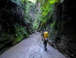 6000 Km Persegi Karst di Sultra Diusul jadi Taman Nasional dan Cagar Biosfer