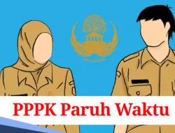 Muna Jadi Daerah dengan PPPK Paruh Waktu Terbanyak di Sultra