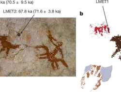 Lukisan Gua Tertua di Dunia, Ada di Sulawesi Tenggara
