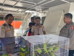 Balai Karantina Gagalkan Penyelundupan 193 Burung Endemik Sultra