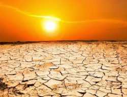 Fenomena “Godzilla El Nino”, Kemarau Ekstrem Diprediksi Mulai April 2026