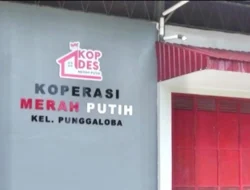 75 Koperasi Merah Putih di Sultra Telah Beroperasi pada Juli 2026