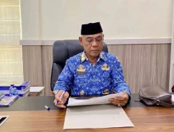 Realisasi Investasi di Sultra Semester I 2026 Capai Rp18,5 Triliun