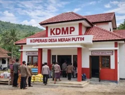 2.273 KDKMP yang Telah Terbentuk di Sultra, Ini Realisasinya