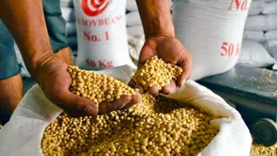 Impor Kedelai RI Capai 2,56 Juta Ton, DPR Desak Pemerintah Lindungi Petani