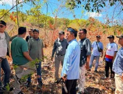 Pemerintah Buton Selatan Matangkan Lahan Pembangunan PLTS di Kadatua