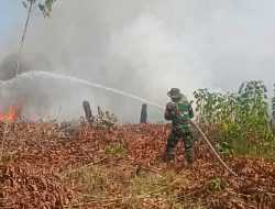TNI, Polri, Damkar, dan Masyarakat Bersama Padamkan Kebakaran Lahan di Nanga-nanga