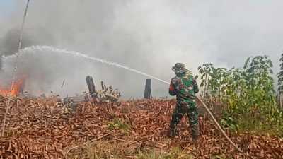 TNI, Polri, Damkar, dan Masyarakat Bersama Padamkan Kebakaran Lahan di Nanga-nanga